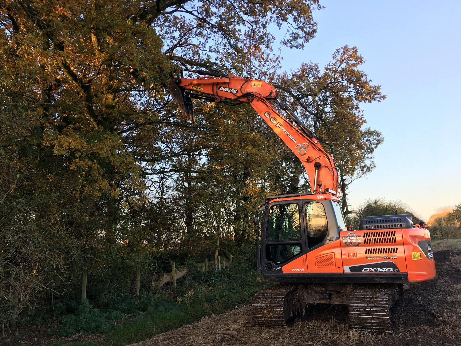 Tree Shearing & Mulching